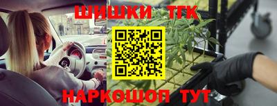 стафф Лесосибирск
