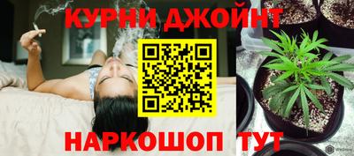 стафф Лесосибирск