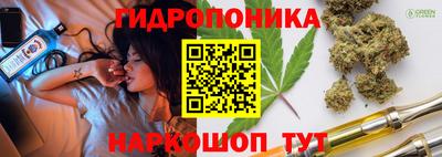 индика Ликино-Дулёво