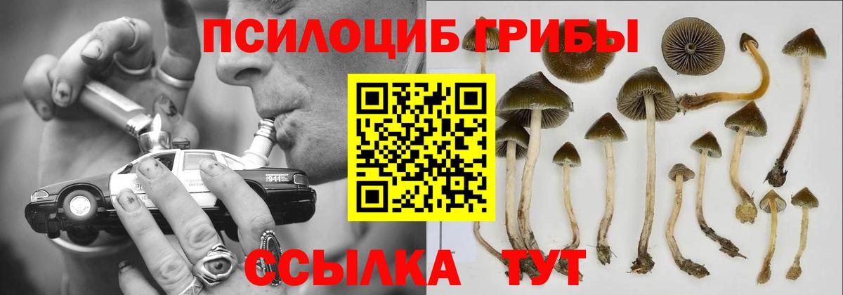 Канабис Мончегорск